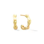 Lina Earrings – Fluid Form